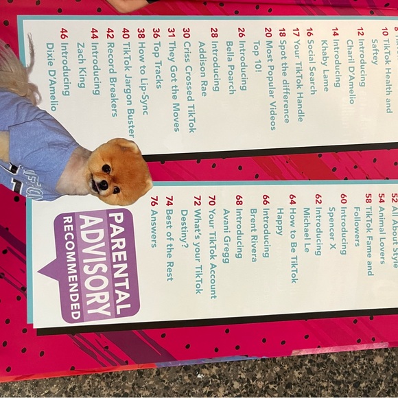 The Ultimate Guide to TikTok Hardcover Book | 2023 - Picture 5 of 8